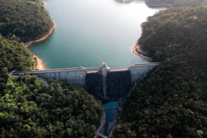 WAAROM WORDEN IN HEEL DE EU ZOVEEL STUWDAMMEN EN BARRIERES VERWIJDERD ?