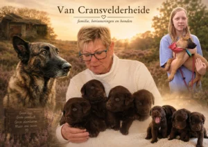 Van Cransvelderheide: een naam voor elke hond als zichzelf